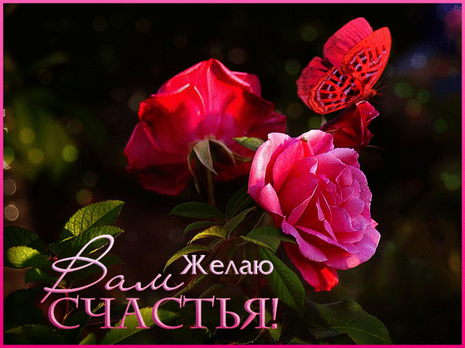 Желаю много счастливых лет - Плейкасты