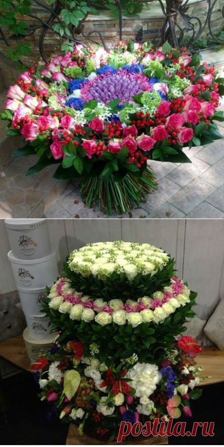 (5) Флористика України