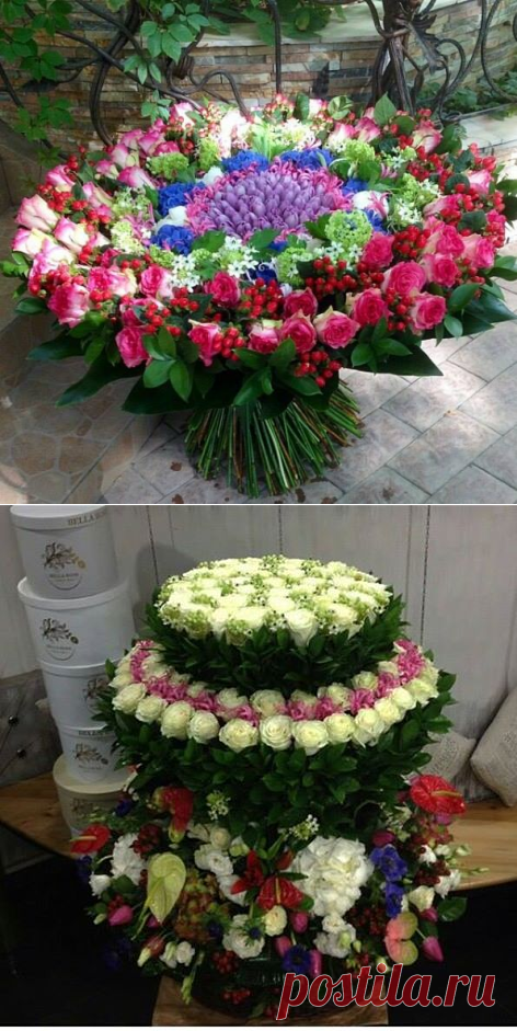 (5) Флористика України