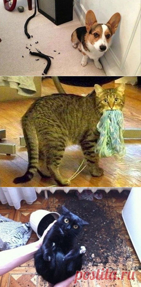 Одноклассники