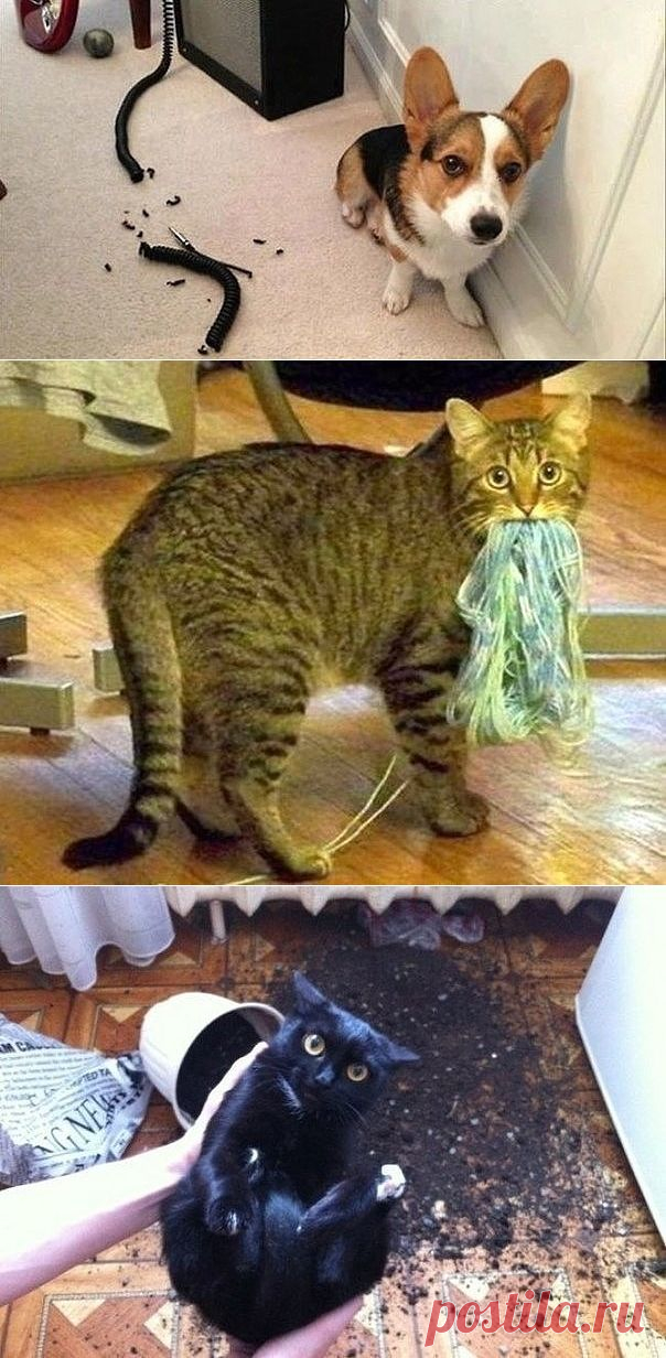Одноклассники