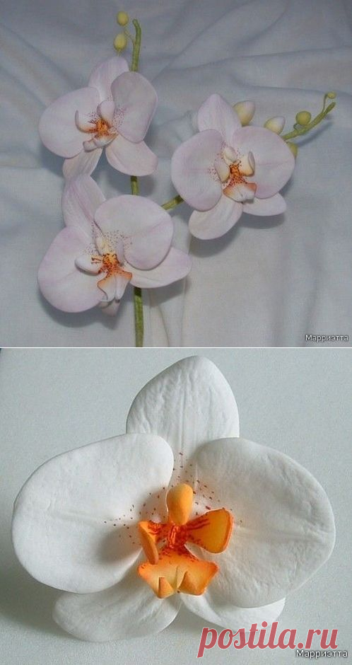 ЛЕПИМ ОРХИДЕЮ.