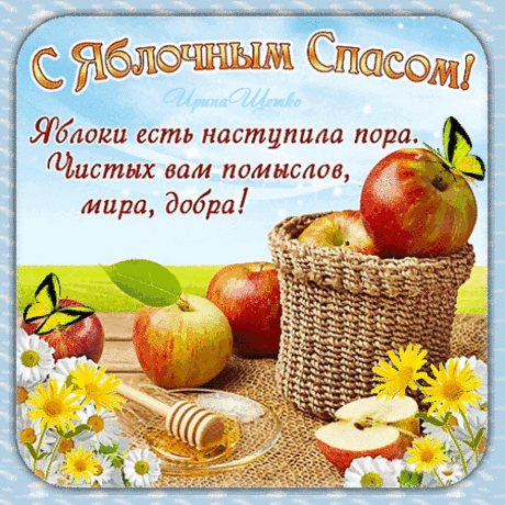 Разгулялся щедрый август,
Спас нам Яблочный принёс,
Чтобы мигом счастья градус
В голове твоей возрос.