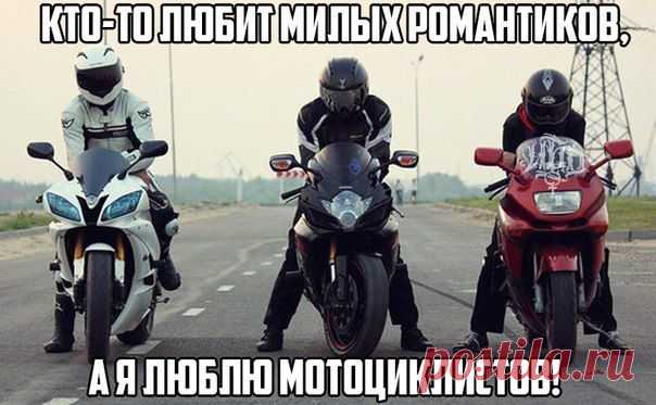 АПД - Академия Порядочных Дам 👑