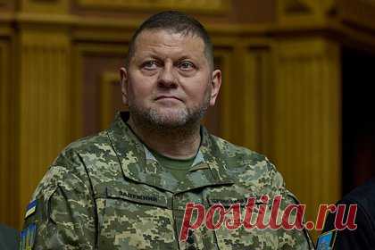 Военный высказался о реакции украинской армии на отставку Залужного. В Вооруженных сил Украины (ВСУ) негативно отнесутся к отставке главнокомандующего украинской армией Валерия Залужного, считает военный эксперт, доцент кафедры политического анализа и социально-психологических процессов РЭУ имени Плеханова Олег Глазунов. Такое мнение он высказал в беседе с «Лентой.ру».