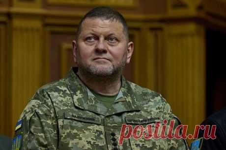 В Киеве слухи об отставке Залужного назвали попыткой дестабилизации. Информация об отставке главнокомандующего Вооруженными силами Украины (ВСУ) Валерия Залужного носит дестабилизирующий характер. Об этом заявили в специальном центре при Министерстве культуры Украины. В Киеве считают, что для «усиления устойчивости» общество и государство должны сделать выводы из сложившейся ситуации.
