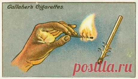 Советы столетней давности - Советы на каждый день