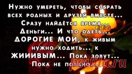 Яндекс Картинки: поиск похожих изображений