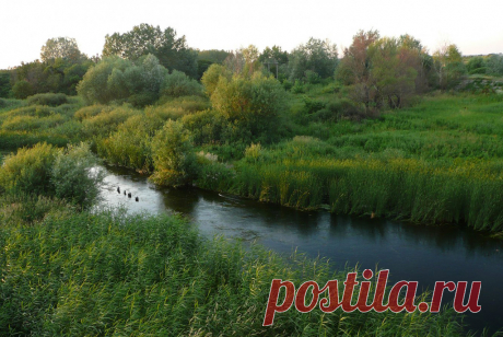 Река Терса (приток Медведицы)