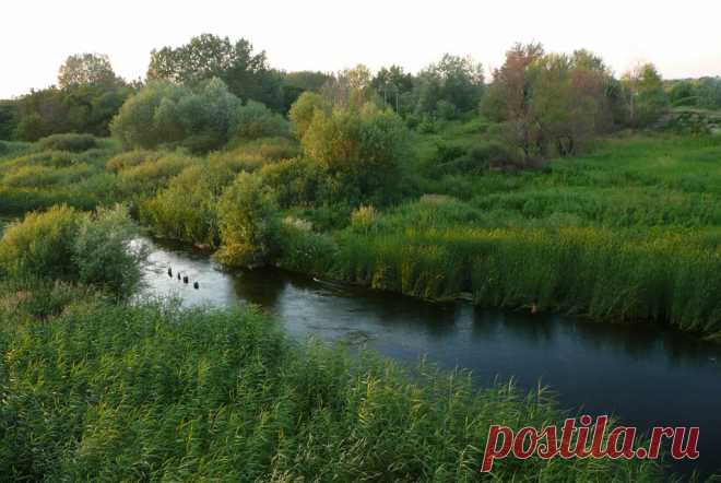 Река Терса (приток Медведицы)