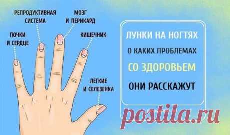 Ногти-индикаторы. О каких проблемах со здоровьем можно узнать, рассмотрев свои ногти | Дневник здоровья | Дзен
