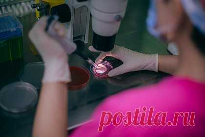 «Сперминатор» с тысячей детей назвал причину первого донорства спермы