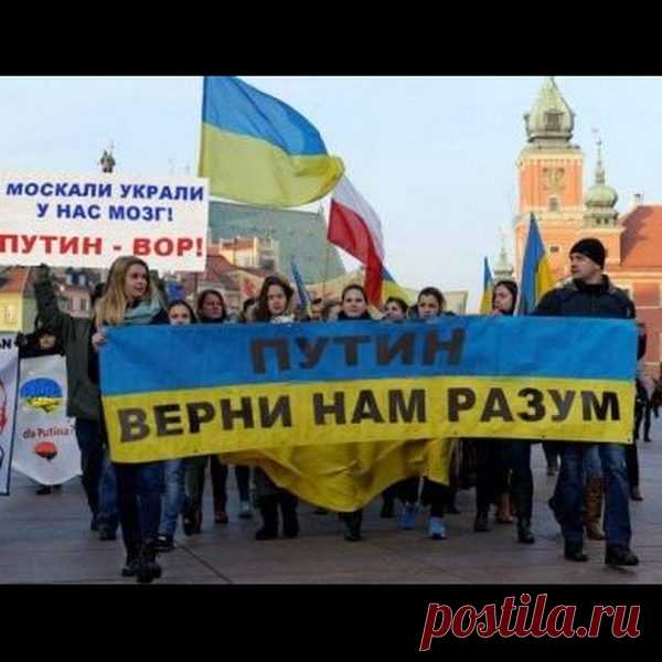 Украинские приколы. Это полный Писец! / Писец - приколы интернета