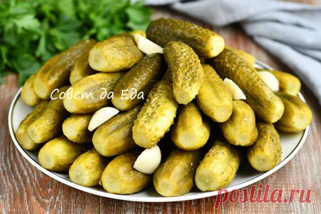 Очень хрустящие! Соленые огурцы в банках, как бочковые (рецепт проверен годами) | Совет да Еда | Дзен