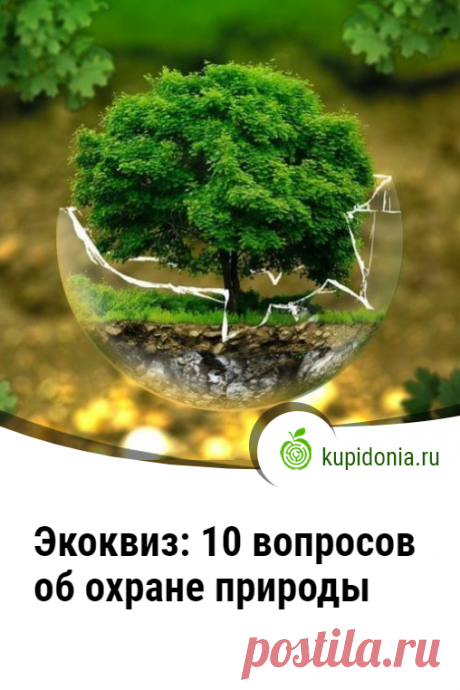 Экоквиз: 10 вопросов об охране природы. Экоквиз, который мы предлагаем вам пройти сегодня, 10 вопросов об охране природы. Проверьте свои знания, ответив на них.