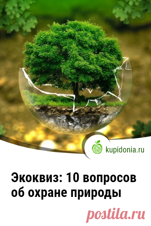 Экоквиз: 10 вопросов об охране природы. Экоквиз, который мы предлагаем вам пройти сегодня, 10 вопросов об охране природы. Проверьте свои знания, ответив на них.