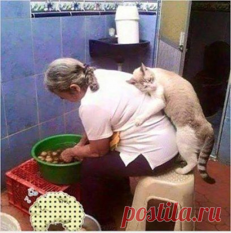 Кормилица. ))