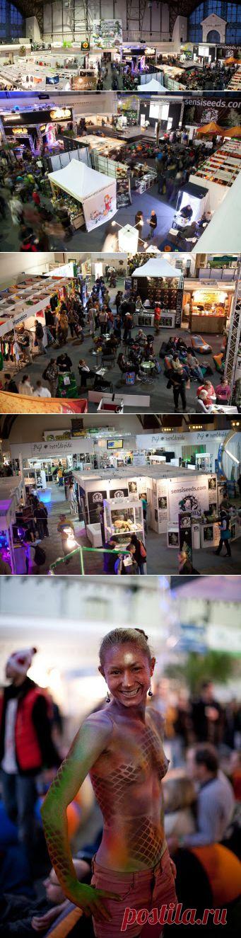 Международный фестиваль конопли &laquo;Каннафест Прага-2013&raquo;  - Blog