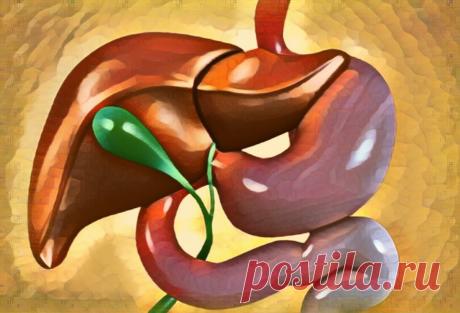 Густая желчь: 5 лучших желчегонных продуктов | Здоровый Дух | Дзен