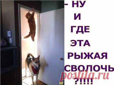Original: https://i.mycdn.me/image?id=849660520592&t=0&..*6xPncVxKoOzAtx87c0M4AnQkW-o