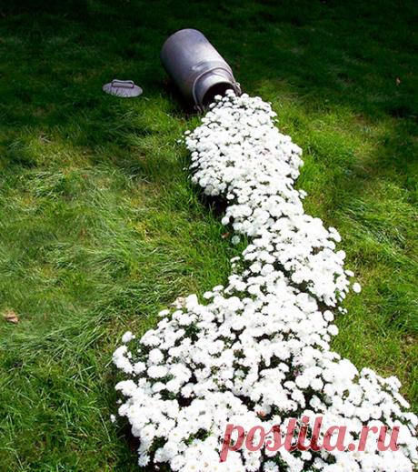 15 необычных очаровательных клумб, которые хочется сделать! - Своими руками