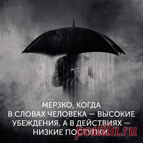 Вытирайте ноги, господа!
Прежде, чем войти в чужую душу,
Закрывайте двери - навсегда,
Если человек уже не нужен!
И не опускайтесь до измен!
Не играйте в приторное счастье!
Захотели в жизни перемен?
Тогда рвите с прошлым в одночасье!
Запасной, увы, аэродром -
Не спасает лайнер от крушенья!
От мечты несбывшейся синдром -
Паранойя. Головокруженье.
Вытирайте ноги, господа!
Сердце изнутри у всех стерильно!
Удаляйте бывших номера,
Для начала просто на мобильном...
5