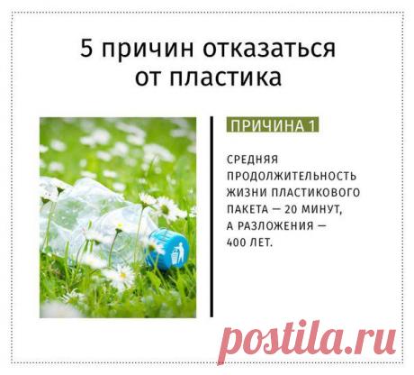 старайтесь постепенно уменьшать использование пластиковых пакетов и бутылок.