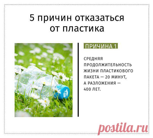 старайтесь постепенно уменьшать использование пластиковых пакетов и бутылок.