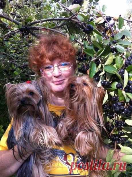 Ирина Пантина(Ежова)
52 года, Россия, г. Пестово (Пестовский район)
