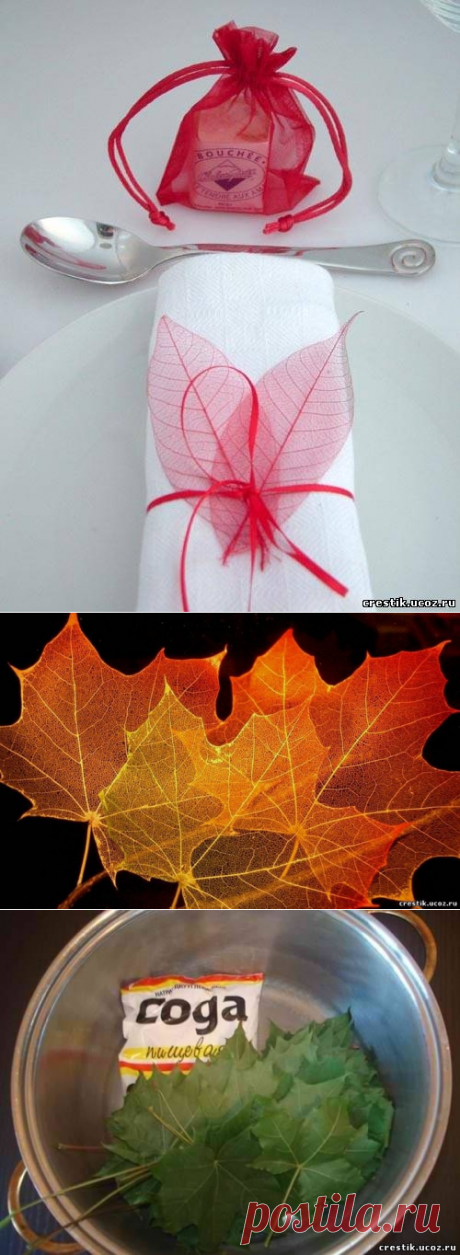 Осеннее хобби - Скелетирование листьев