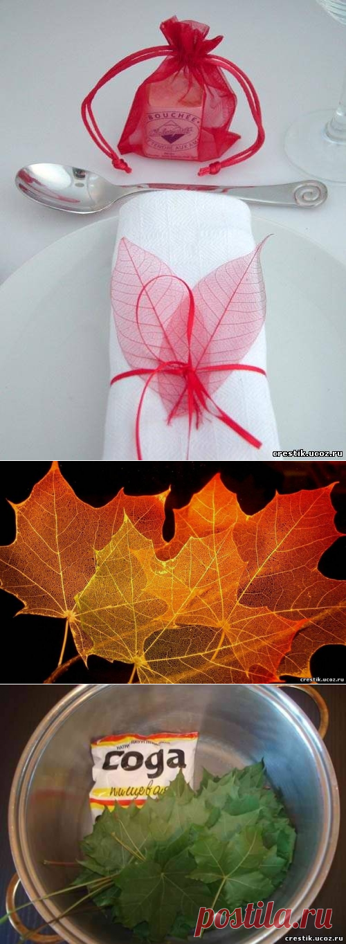 Осеннее хобби - Скелетирование листьев