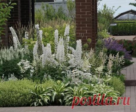 белоснежный цветник: 5 тыс изображений найдено в Яндекс.Картинках