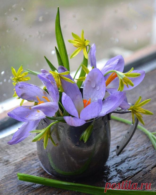 Пусть у каждого будет то...
                что  гораздо Дороже денег.....