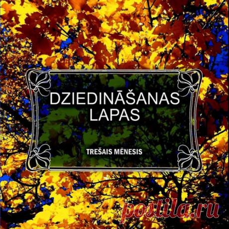 Atveseļoties un palikt dzīvam. - draugiem.lv