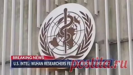 Лаборатория в Ухани продолжает свои тёмные делишки...