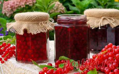Что приготовить из смородины на зиму – простые рецепты вкусных заготовок 


Смородина – вкусная ягода, богатая витамином С и содержащая натуральный пектин. Она отлично подходит для заготовок варенья, джема, желе и компотов. В нашей подборке рецептов со смородиной вы найдет…
