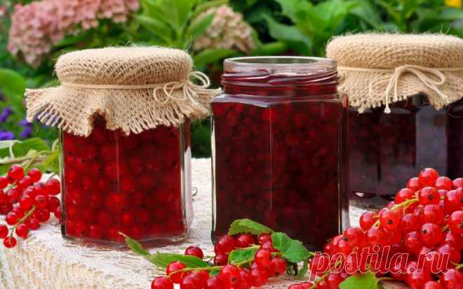 Что приготовить из смородины на зиму – простые рецепты вкусных заготовок 


Смородина – вкусная ягода, богатая витамином С и содержащая натуральный пектин. Она отлично подходит для заготовок варенья, джема, желе и компотов. В нашей подборке рецептов со смородиной вы найдет…