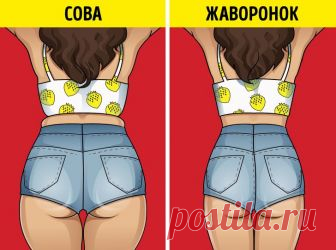 Как избавиться от жира на животе за 2 недели / Все для женщины