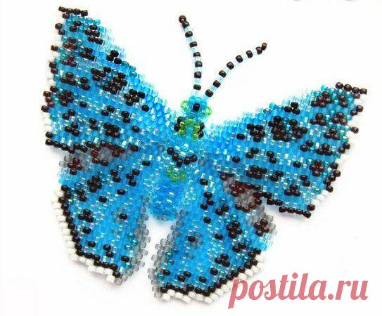 (28) Одноклассники