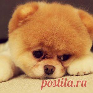 Жители : ВСУ стреляли по домам, чтобы иностранные СМИ могли отснять материал