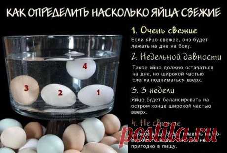 как определить свежесть яиц