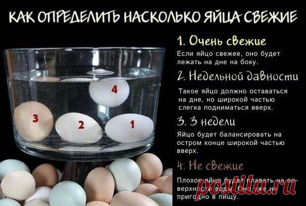 как определить свежесть яиц