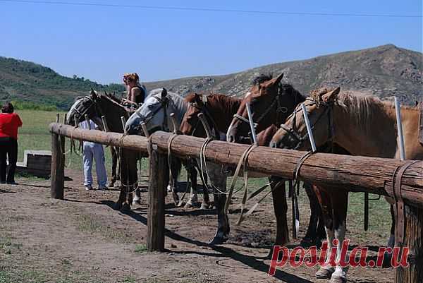 Прекрасный отдых на свежем воздухе,  катание на санях и зимних горках,  культурные мероприятия! Разнообразное меню восточной и европейской кухни,  национальные блюда на ваш выбор, а так же коктейль бар.  В этом удивительном месте гости могут  отвлечься от городской суеты,  отправиться в верховую или пешую прогулку  и попариться в баньке, отдохнув душой и телом! 8(7232) 57-78-87