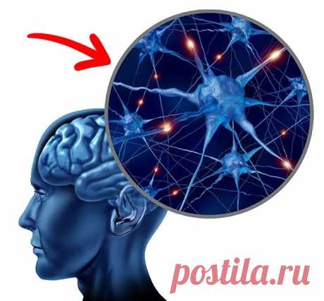 9 вещей, которые произойдут с вашим телом, если есть по 2 яйца каждый день Полезные свойства куриных яиц не раз ставились под сомнение. Как только не клеветали на этот, как теперь доказано, уникальный по своему составу продукт.Перед вами результаты последних исследований о п...