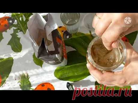 Рассказываю и показываю как готовлю квас и закваску и ржаной муки