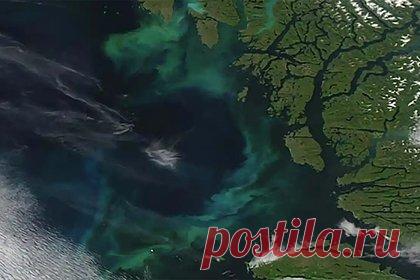 Зафиксировано позеленение океанов на Земле. Ученые Национального океанографического центра в Великобритании и ряда научных организаций США показали, что океаны Земли меняют цвет, становясь более зелеными, что, вероятно, связано с климатом. Изменения в цвете были зафиксированы с помощью спутниковых наблюдений в течение 20 лет.