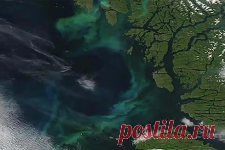 Зафиксировано позеленение океанов на Земле. Ученые Национального океанографического центра в Великобритании и ряда научных организаций США показали, что океаны Земли меняют цвет, становясь более зелеными, что, вероятно, связано с климатом. Изменения в цвете были зафиксированы с помощью спутниковых наблюдений в течение 20 лет.