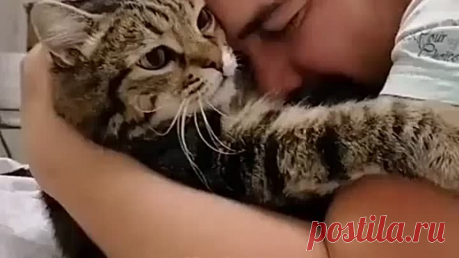 Сладкие пушистики!)