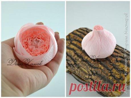 Мастер-класс Свит-дизайн Моделирование конструирование МК розы остинки Бумага гофрированная фото 7 | Сandy bouquet