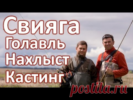 Свияга. Голавль. Нахлыст и кастинг.